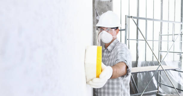 Best Mold Removal for HVAC Installations  in La Joya, TX